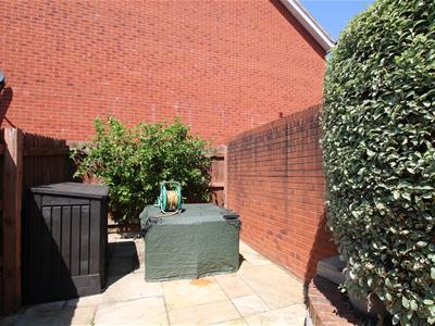 Picture 17